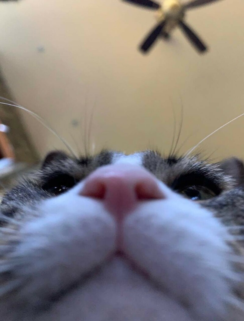 TTTTT