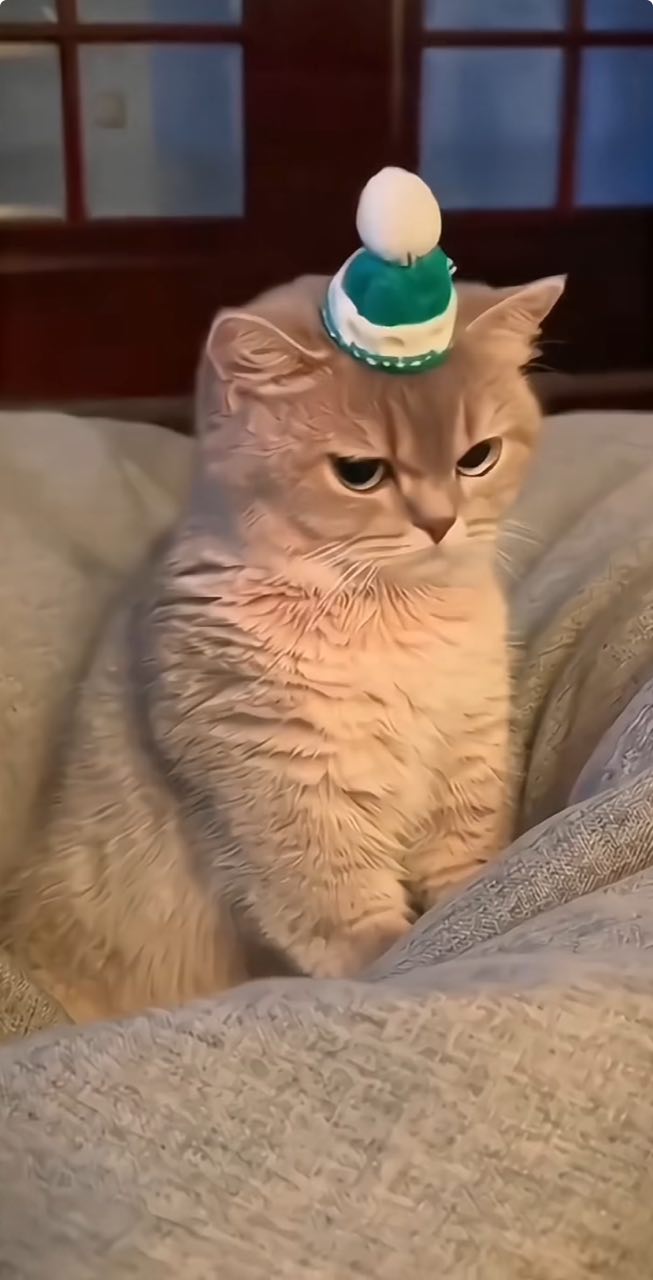 Доставка тест